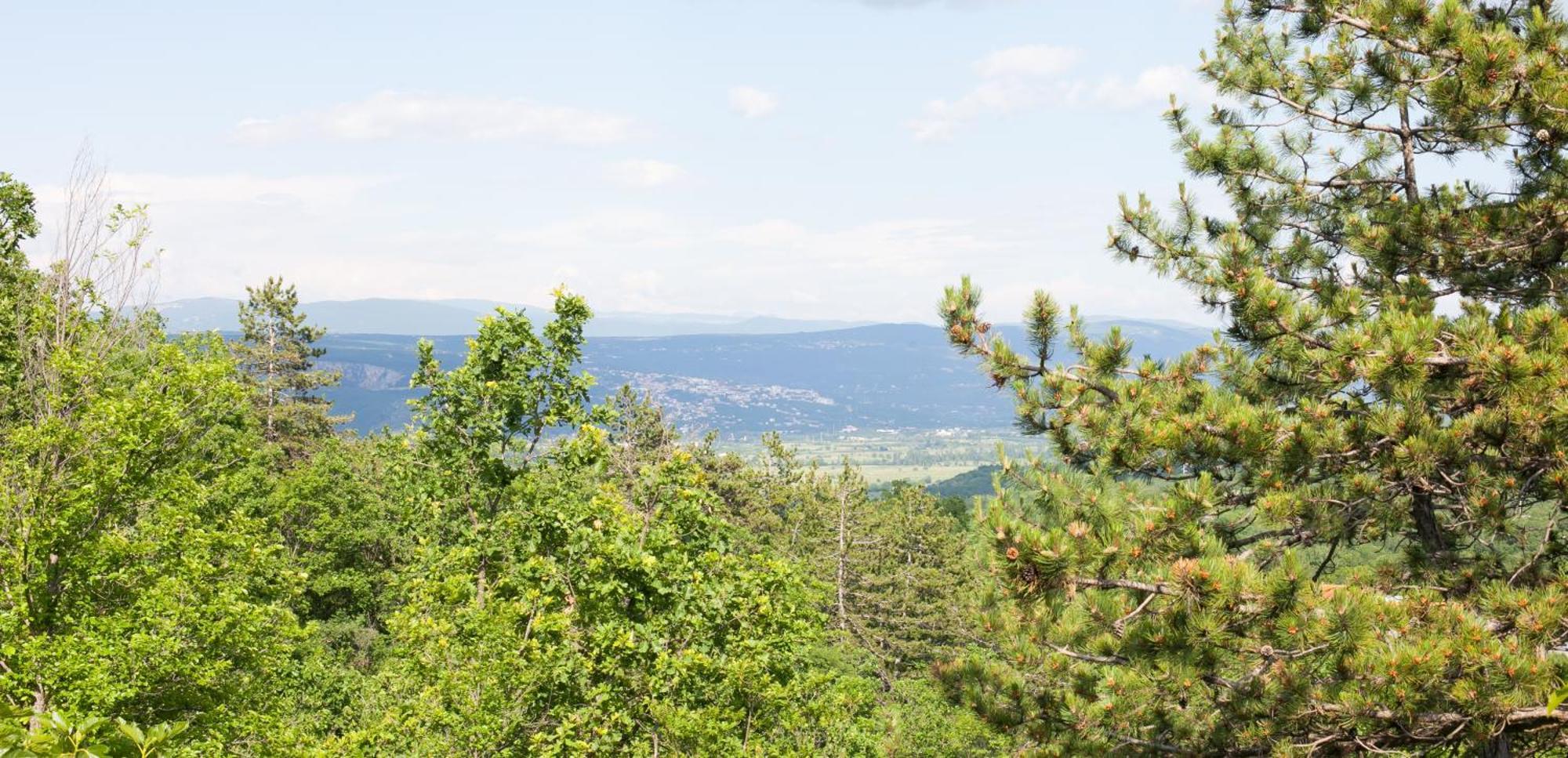 Apartament Tanja